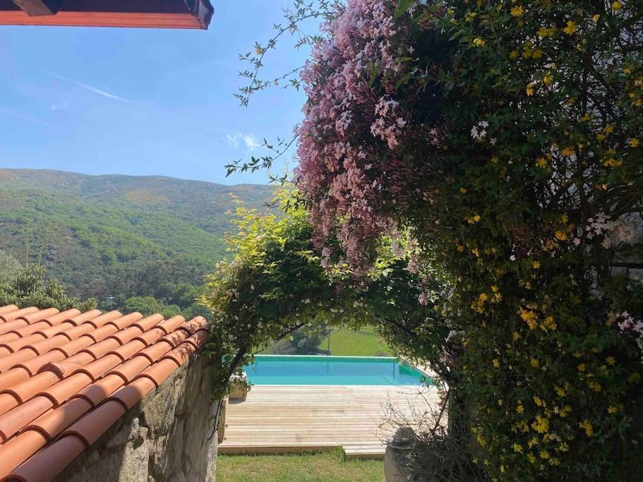 La Loba - Un Pequeno Paraiso A Tu Alcance Villa Fornelos de Montes Екстериор снимка