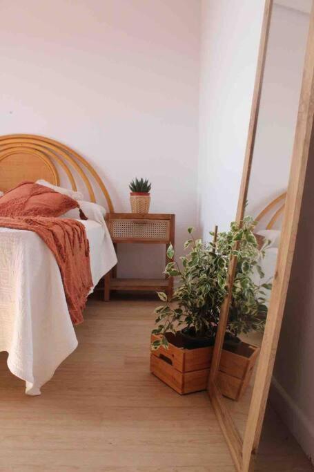 La Loba - Un Pequeno Paraiso A Tu Alcance Villa Fornelos de Montes Екстериор снимка