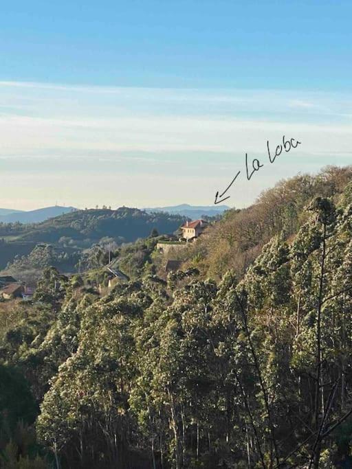 La Loba - Un Pequeno Paraiso A Tu Alcance Villa Fornelos de Montes Екстериор снимка